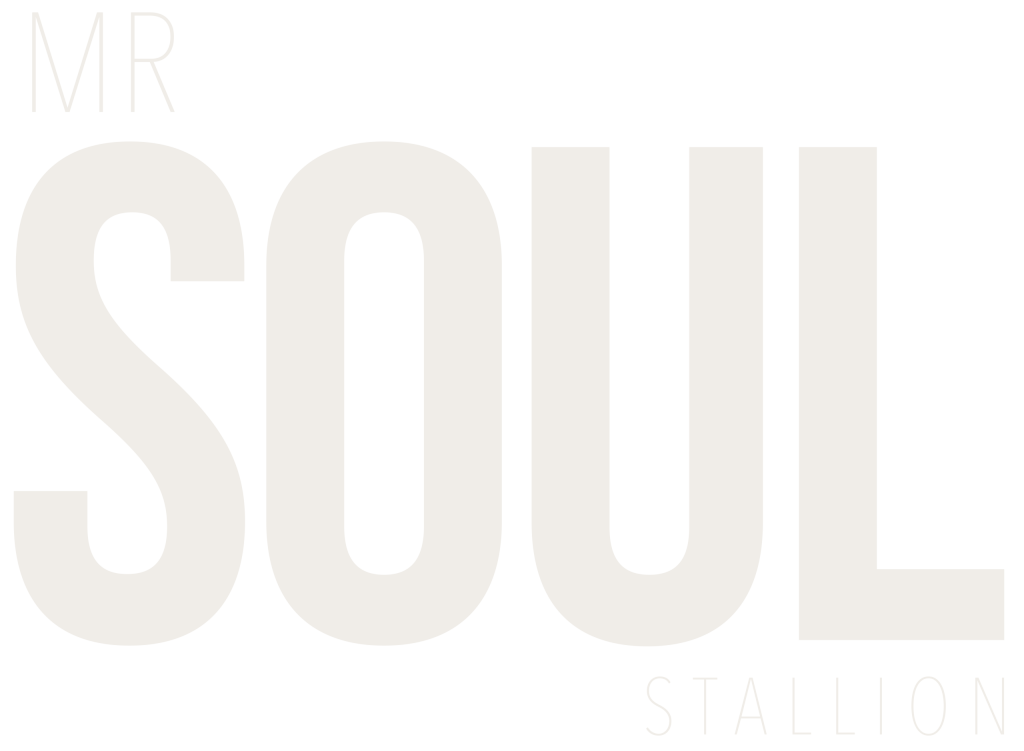 Mr Soul